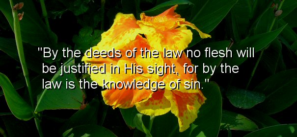Image - By the deeds of the law no flesh will be justified in His sight, for by the law is the knowledge of sin.