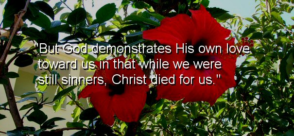 Image - But God demonstrates His own love toward us, in that while we were still sinners, Christ died for us.
