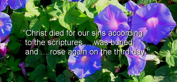 Image - Christ died for our sins according to the Scriptures..was buried, and...rose again on the third day.